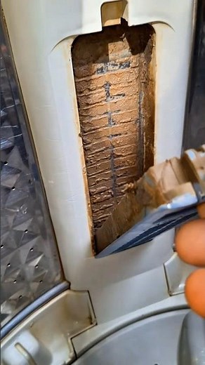 Your Washing Machine Looks Clean… But Is It? 😳🧼#WashingMachine #CleaningHacks #LaundryTips