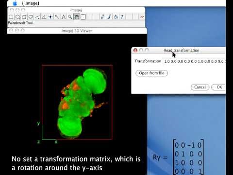 ImageJ 3D viewer demo part 2