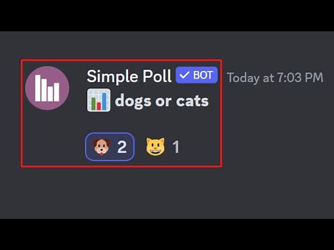 Make A Poll On Discord (Tutorial)