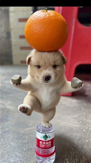 Cute Mexica Plush Dancing Cactus Electric Plush Toy 🎹 Cute pet Ip Man squats, the 🍭 P252