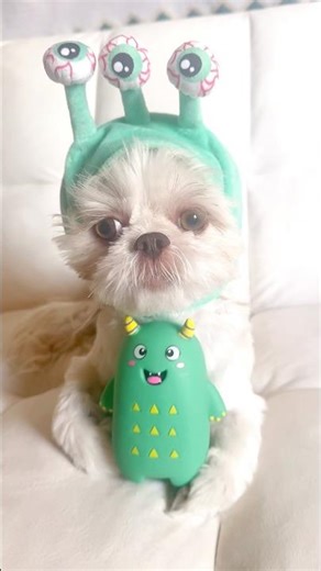 BrattyGigi x Alien Monster Halloween Costume 👽🛸👾💚