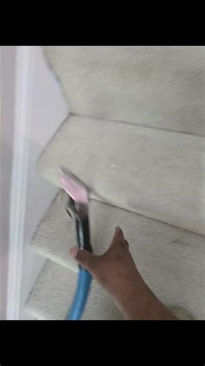 The Best Carpet Cleaning for Pet Owners | Remove Pet Stains & Odors Fast!