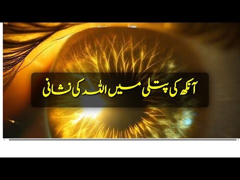 Signs of Allah in Pupillary Light Reflex | Aankhon ki Putliyon mein Allah ki Nishaniyan