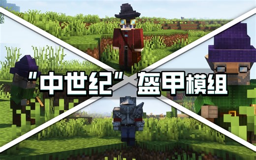 你怎么知道我喜欢玩换装模组！中世纪盔甲