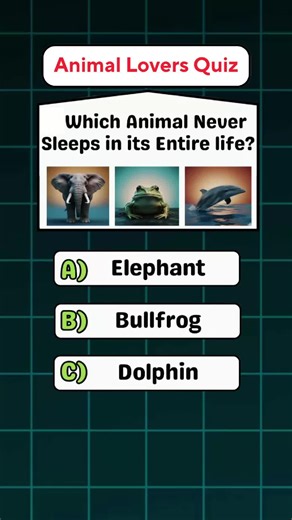 Test Your Animal Knowledge with This Fun Quiz!
