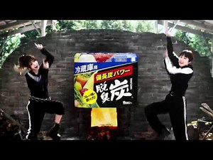 【CM】エステー 脱臭炭