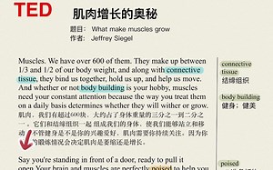TED每日精讲：肌肉增长的奥秘（竖屏版）
