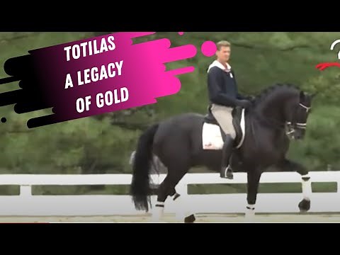 Edward Gal & Totilas In The Warm-Up - A Legacy Of Gold!