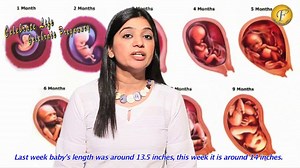 PREGNANCY INFORMATION WEEK 26 II गर्भावस्था का 26वां हफ्ता और ढेरो खुशियाँ II