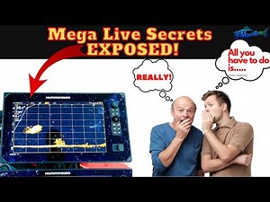 Mega Live Clarity - SECRETS EXPOSED! **MUST WATCH**