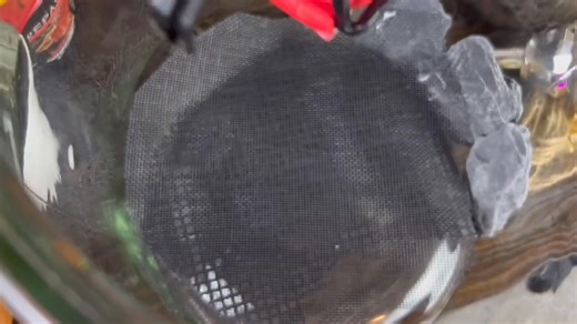 DIY ecosystem enclosed in a jar ecosystem build!!! #fypシ゚viralシfypシ゚ #fbvideo #video #bioactive #terrarium #enclosed ecosystem #vivarium #natureinspired #buildingaterrarium #indoorecosystem #indoorgarden #natureindoors #diy #crafts #asmr #craftingasmr #foryoupage #fyp #closedjarecosystem | Alternateaquatics