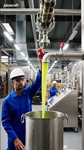 Massive Industrial Fruit Processing: Extraction Systems Engage