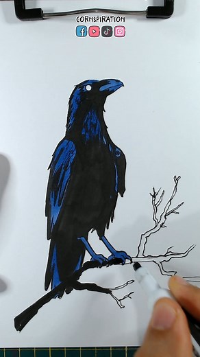 Cómo dibujar un Cuervo #arte #dibujo #tutorial #drawing #art | Cornspiration