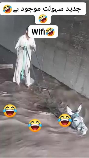 😂😂😂 | Dear Diary