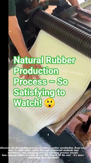Natural Rubber Production Process – So Satisfying to Watch! 😲 #satisfying #agriculture #short