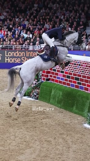 helo_orz on Instagram: "The size of the wall😶 My tiktok:@helo_orz #helo_orz #equestrian #edit #horse #horseriding #horsecontent #showjumping #jumping #trending #horseofinstagram #viral #goviral #plsgoviral #bigwall"