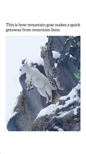 That's why he is GOAT #memes #reels