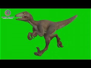 Velociraptor Predator Green Screen Video 4k - Roar into Your Projects