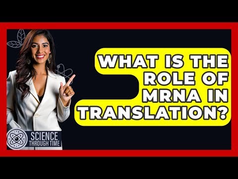 What Is The Role Of MRNA In Translation? - Science Through Time