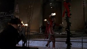 It’s the most wonderful Time of the year! | Creatures of the Night