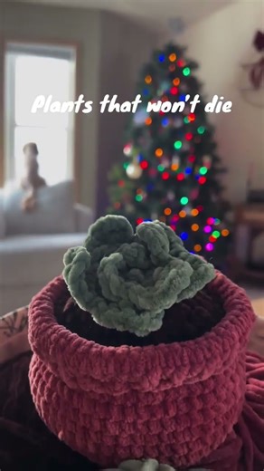 The best kind 🪴☺️ #crochet #crochetplant #amigurumipattern