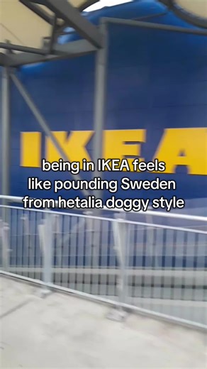 Humorous Moments in IKEA