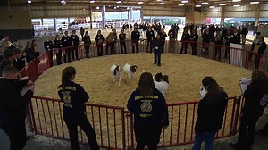 6.9K views · 411 reactions | Give FFA Day is finally here! Learn how you can get involved today: www.FFA.org/giveffaday | National FFA Organization | Facebook