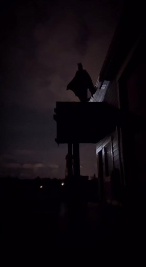 Repost: I am Retributive Justice #fypシ | Batman