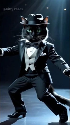 Black cat dancing #cat #cuteanimal #adoreble #cutecat #funny# cat videos