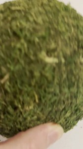 Moss Balls-decorative Sphere Orb for Vase Bowl Fillers or Dough Bowl-farmhouse Decor-choose 2", 3", 3.5", 4", 5", 6", 8", 10", 16" - Etsy