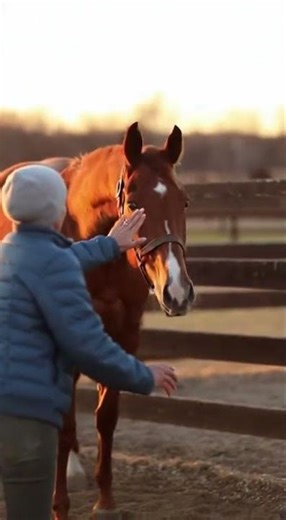 Terrified Thoroughbred Who Refused to Be Touched for 13 Months Finally Accepts Riders