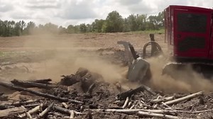 Incredible Heavy Machinery: Fastest Tree Cutting & Stump Removal with Excavators