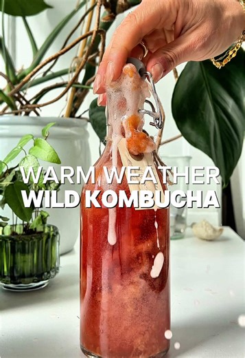 Kombucha Brewing Tips: Burp Season Insights