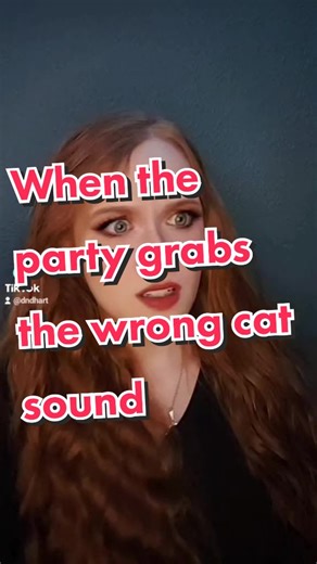 Dungeons and Dragons Cat Sound | DnD Skit Sound Effects