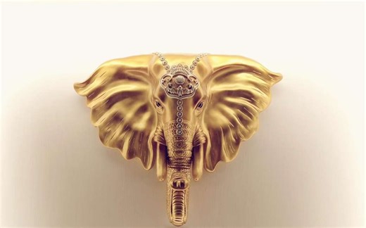 小白学习盒子连接打印机与使用方法.mp4_超清