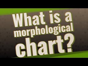 What is a morphological chart?
