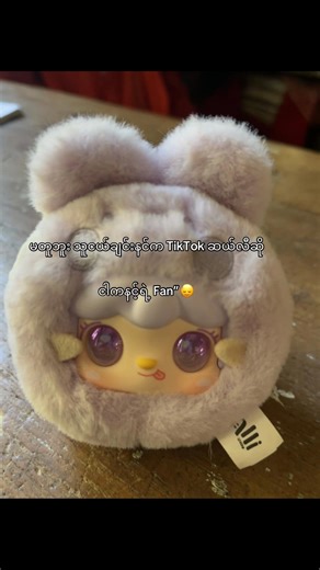 Engaging TikTok Content for Fans and Friends