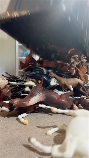 103K views · 15K reactions | Happy Monday #breyer #breyerhorse #breyerhorses #breyercustom #peterstone #model #modelhorse #modelhorses #equine #equineart #equinesculpture #horse #horses #horseart #horsesculpture #breyerfest #custom #customizing #drasticcustom #repaint #paint #painting #sculpting #breyermodelhorses #breyermodels #tutorial #howto #youtube #instagraminprogress | DeeJayBe Studios | Facebook