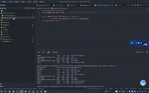 Python执行ssh命令的框架zdpapi_ssh教程001，入门案例