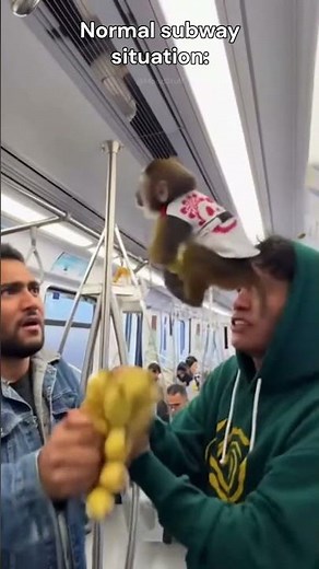Monkey Stealing Banana in Subway 🐒🍌💀 #meme