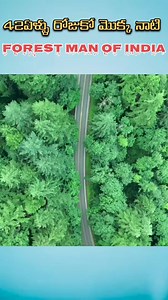 309K views · 10K reactions | Forest man of India  #mojfactstelugu #forestmanofIndia #factsintelugu #teluguvideos #tigers | moj facts telugu | Facebook