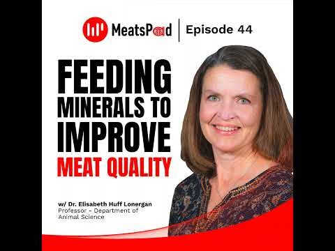 Feeding minerals to improve meat quality - Dr. Elisabeth Huff-Lonergan