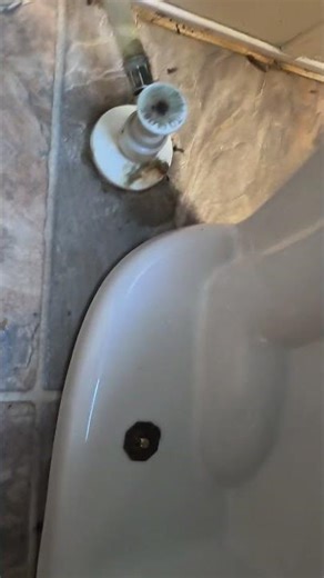 Larry Jr Bathroom Toilet Removal & Installation 2025 06