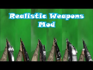 Call of Duty 2 - Realistic Weapons Mod