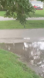 Birds hooking up lol  | Kent Stokes | Facebook