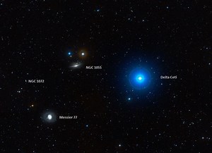 Messier 77 - the Cetus A Barred Spiral Galaxy