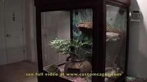 253 reactions · 95 shares | Safe - Strong - Dependable Enclosures | Custom Cages | Facebook