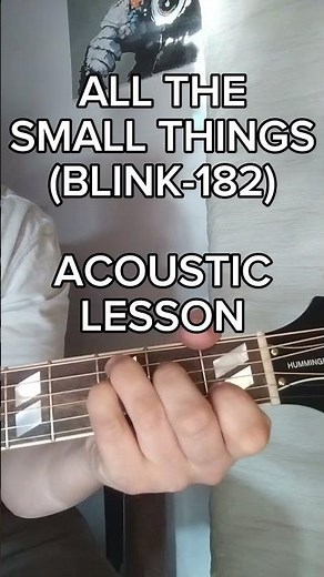 Quick acoustic lesson/tutorial of "All the small things" by Blink-182 #guitartutorial