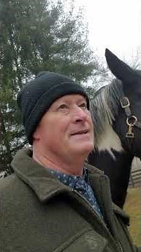 Vitality in Motion Equine Massage Course