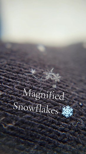 Magnified Snowflakes - Snowflakes After 25x Magnification